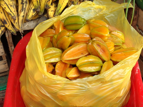 Maldonado, Peru.